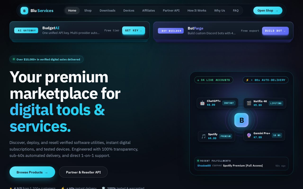 Blu Services homepage preview
